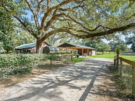4551 NE 160th Avenue Williston FL 32696