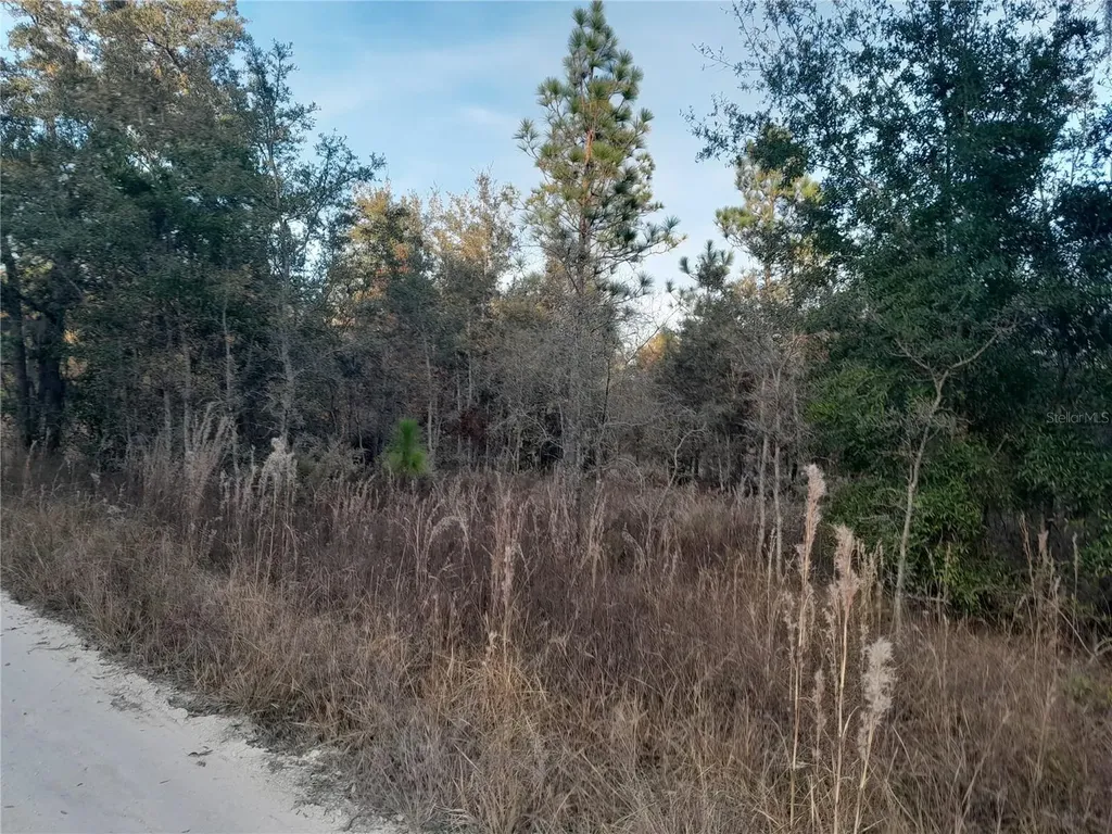 1531 NE 123rd Avenue Williston FL 32696