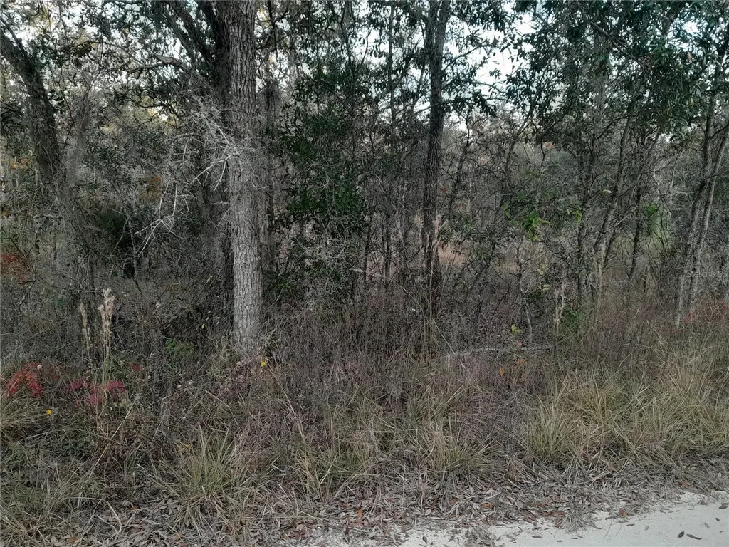 1531 NE 123rd Avenue Williston FL 32696