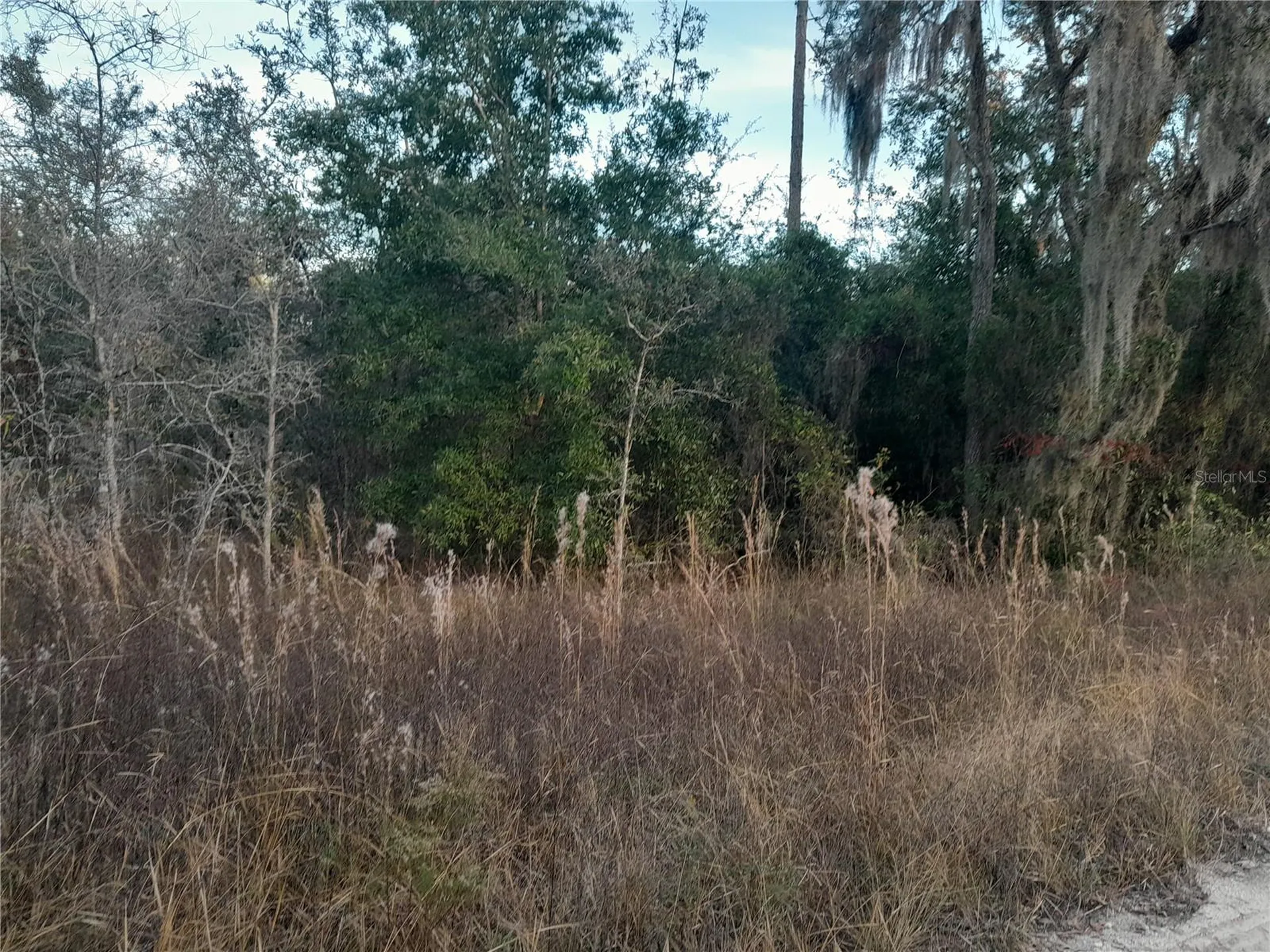 1531 NE 123rd Avenue Williston FL 32696