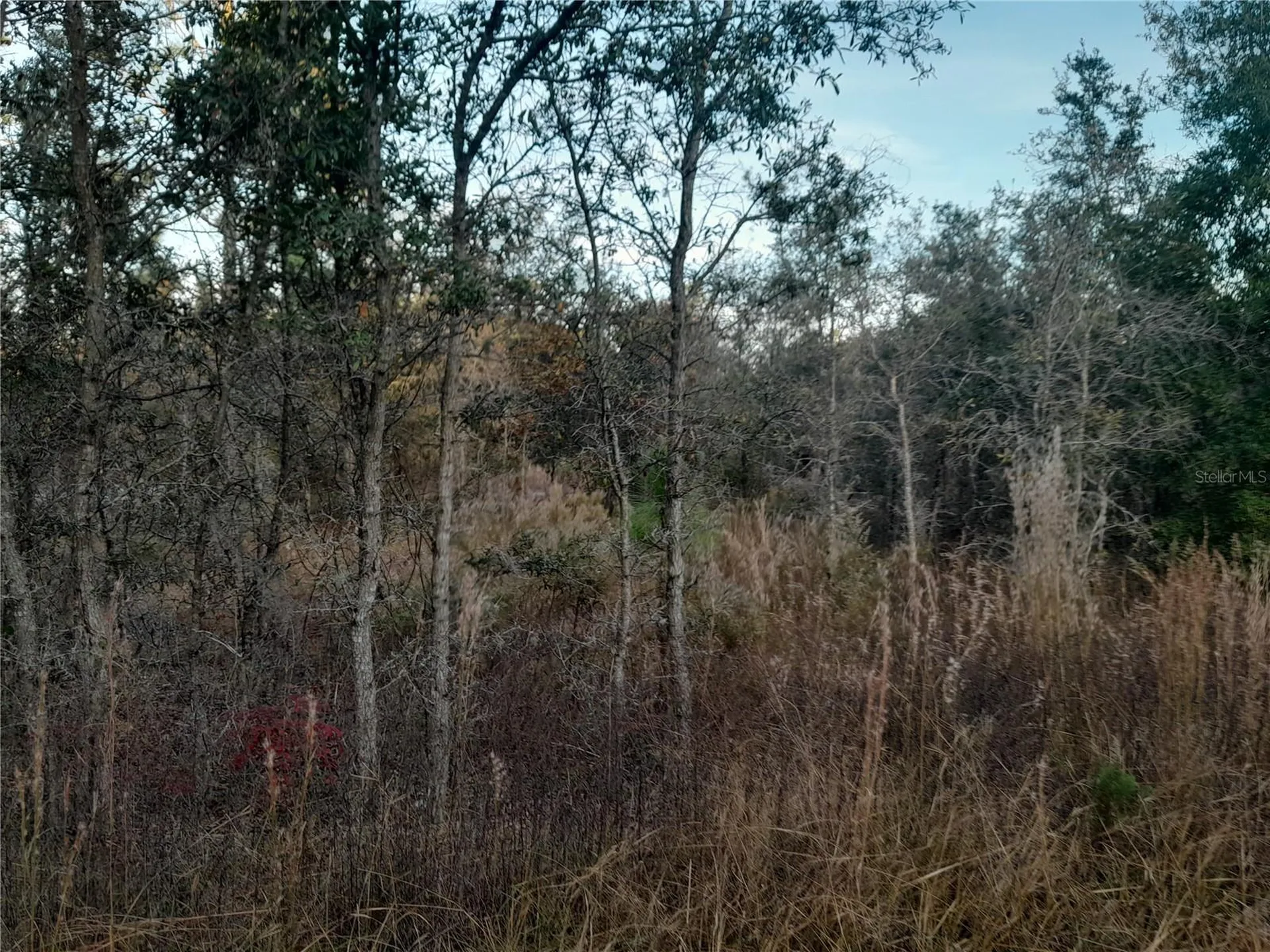 1531 NE 123rd Avenue Williston FL 32696