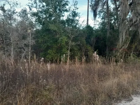 1531 NE 123rd Avenue Williston FL 32696