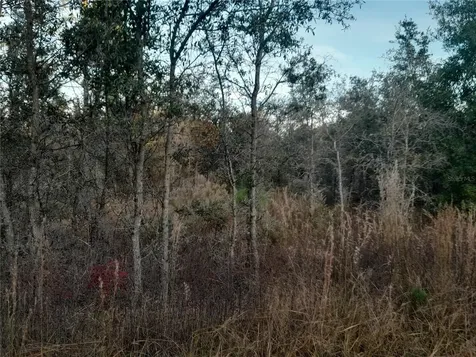 1531 NE 123rd Avenue Williston FL 32696