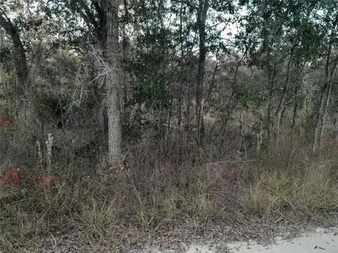 1531 NE 123rd Avenue Williston FL 32696