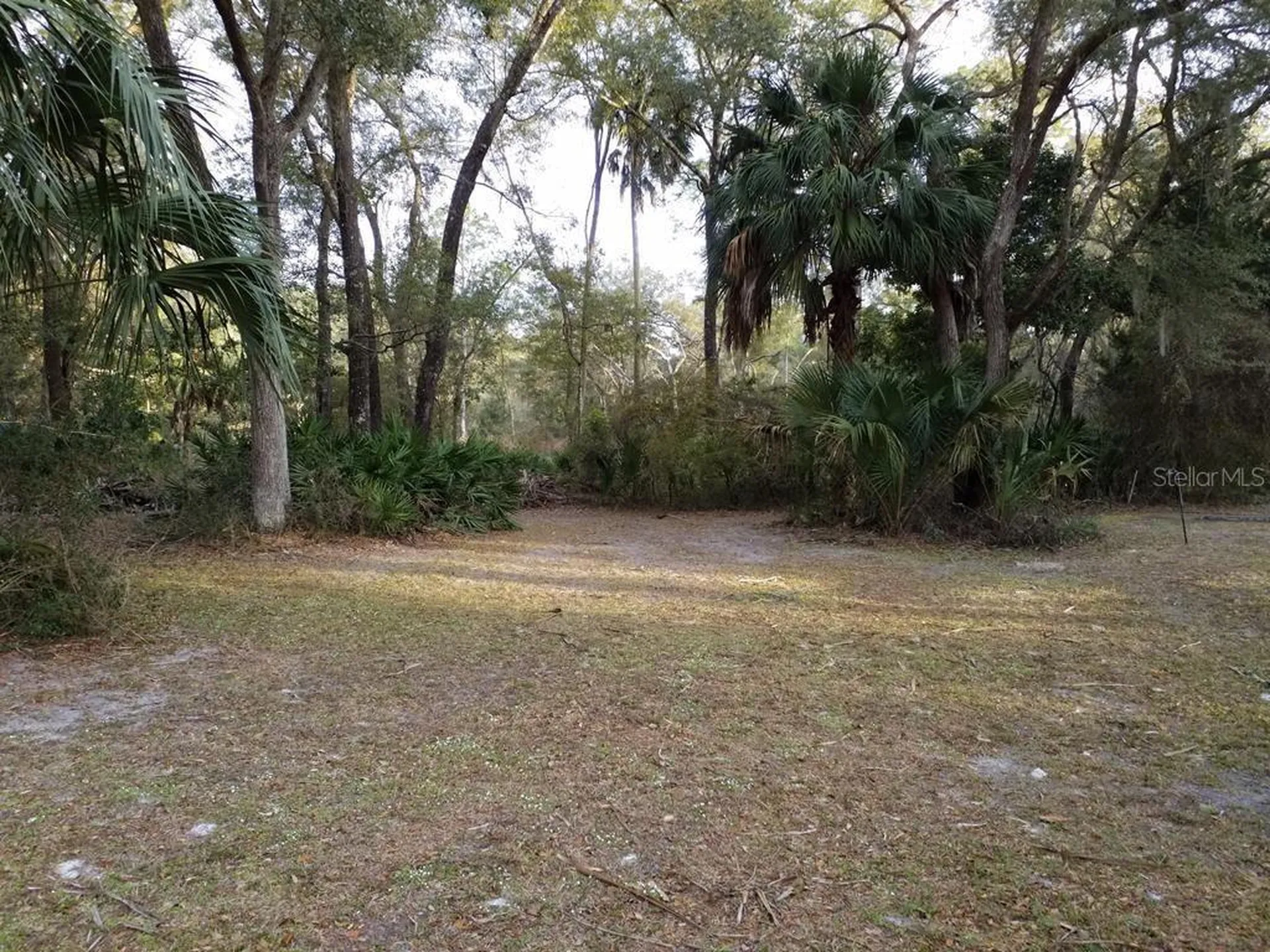 Chiefland FL 32626