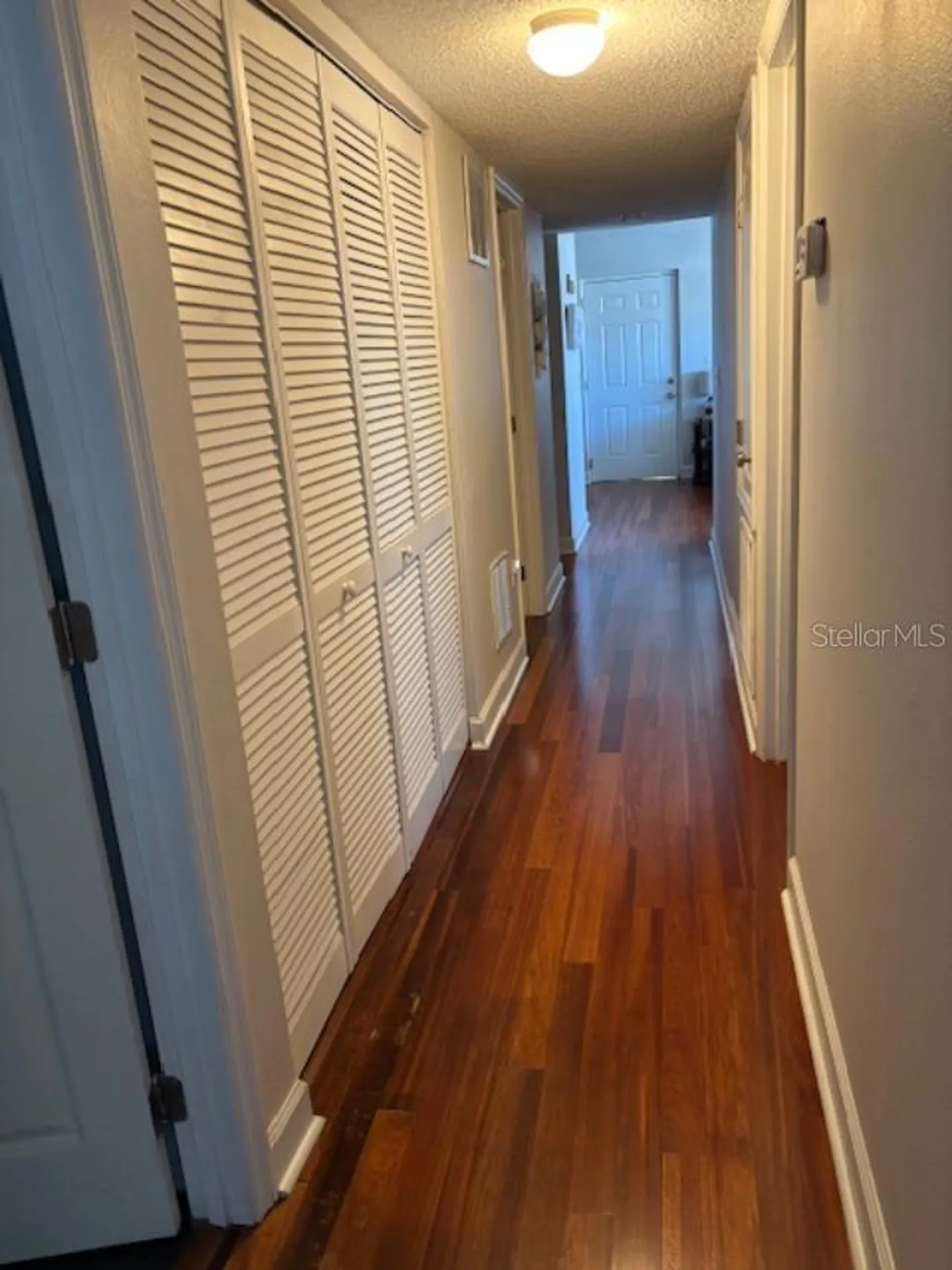 2019 Dixie Belle Drive Orlando FL 32812