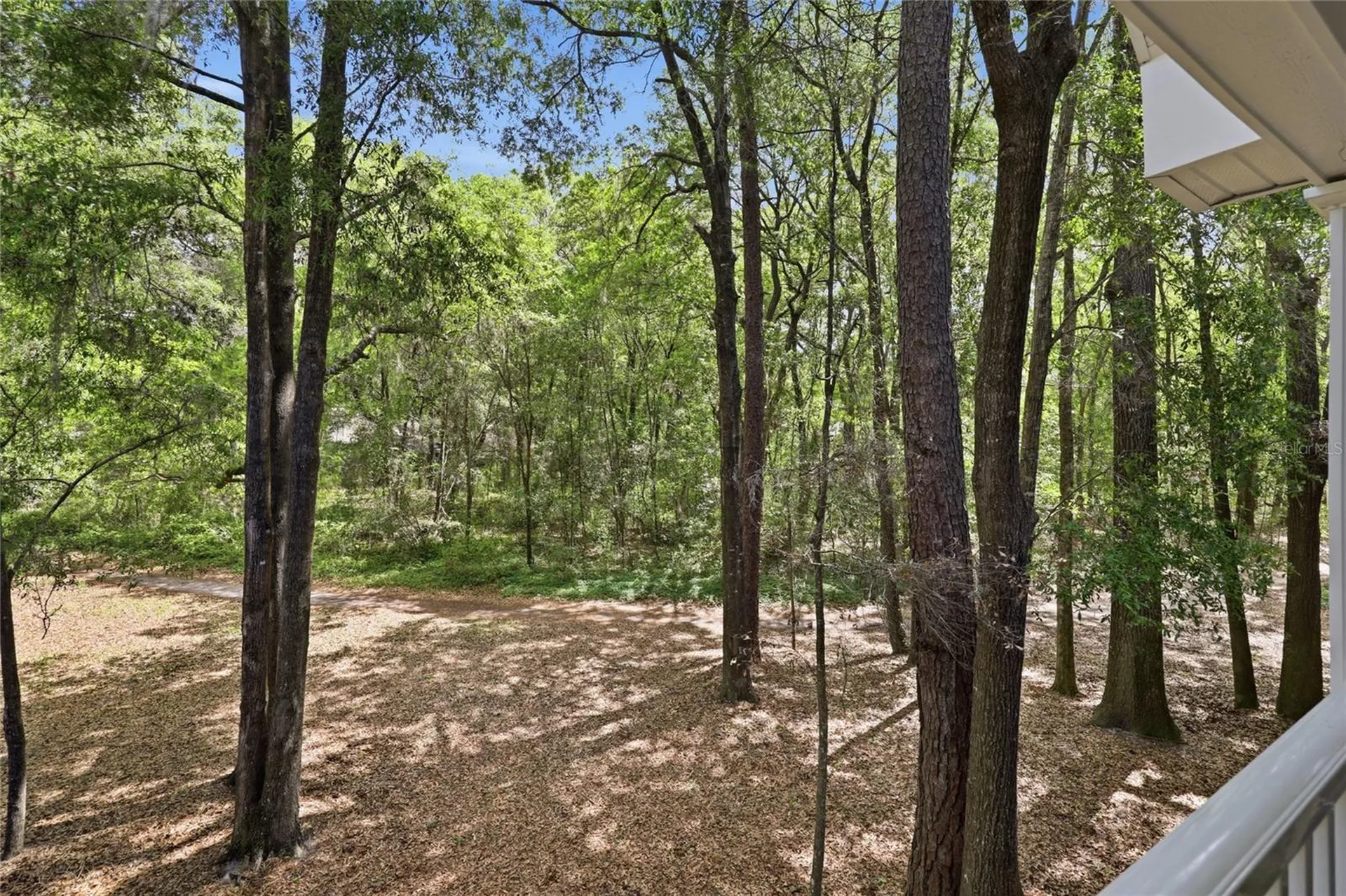 10000 SW 52nd Avenue Gainesville FL 32608