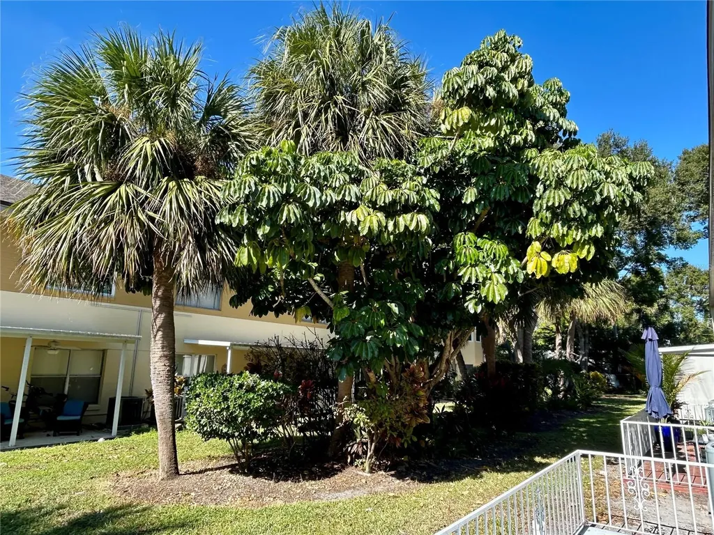 2294 Belgian Lane Clearwater FL 33763