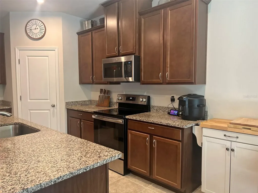 224 August Fern Loop Mount Dora FL 32757