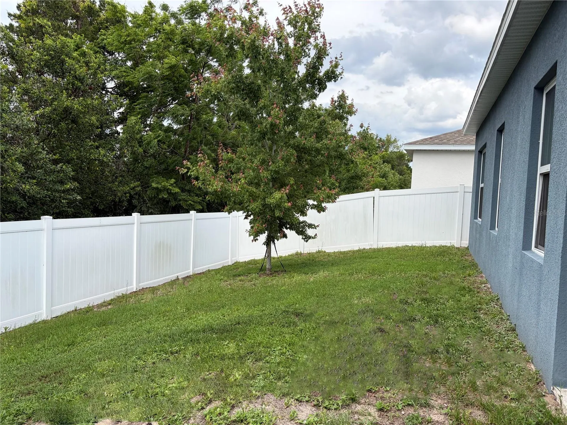 224 August Fern Loop Mount Dora FL 32757