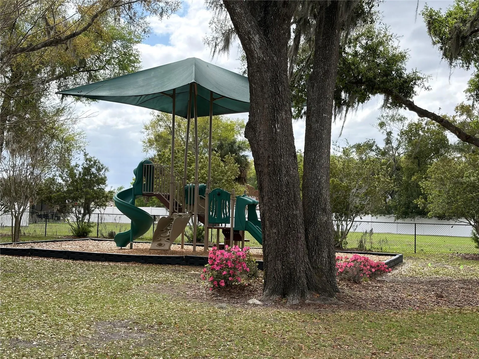 224 August Fern Loop Mount Dora FL 32757