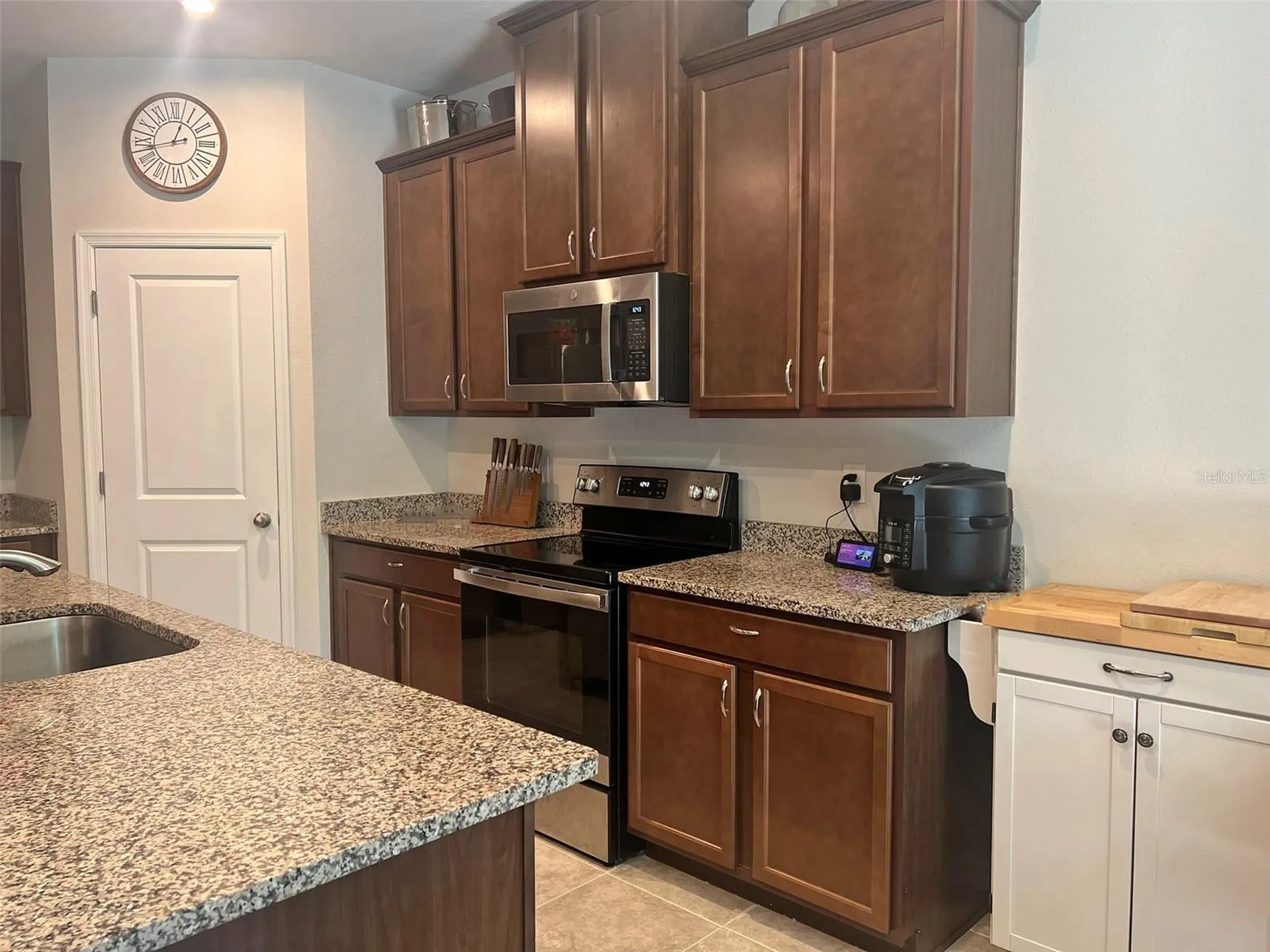 224 August Fern Loop Mount Dora FL 32757
