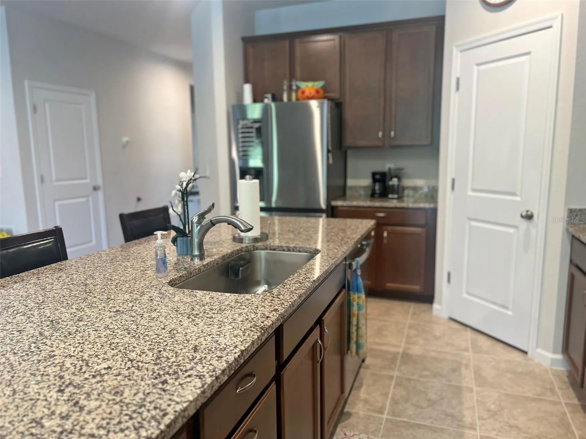 224 August Fern Loop Mount Dora FL 32757