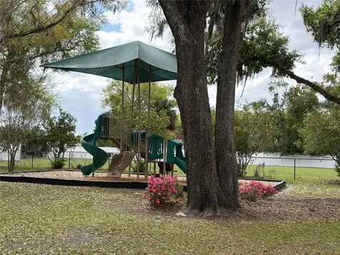 224 August Fern Loop Mount Dora FL 32757
