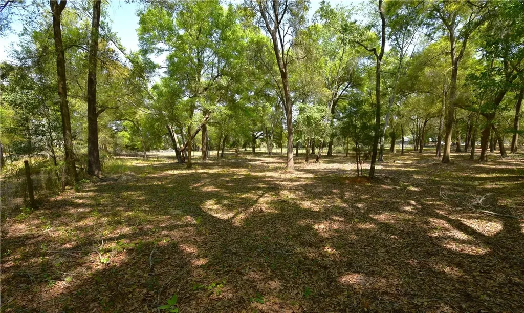 18441 Oaklawn Drive Spring Hill FL 34610