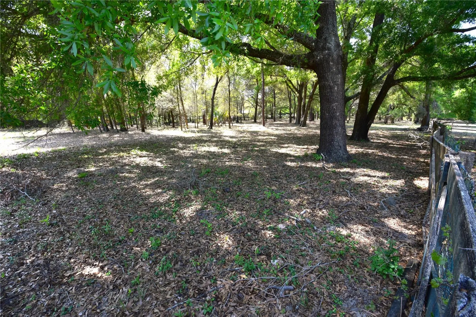 18441 Oaklawn Drive Spring Hill FL 34610