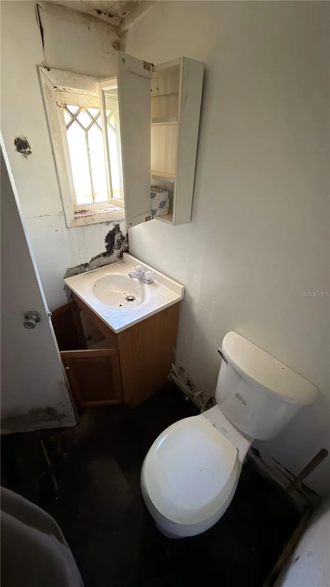 1121 S Adelle Avenue Deland FL 32720