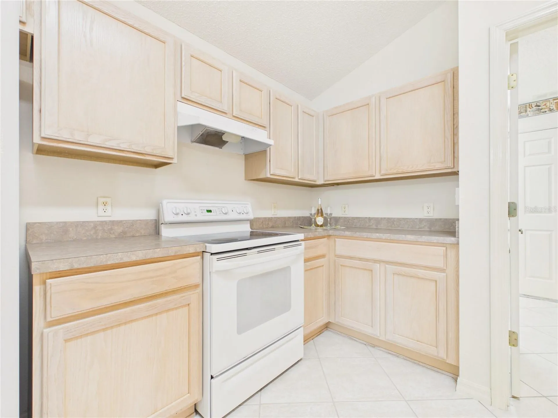 817 Oak Forest Drive The Villages FL 32162