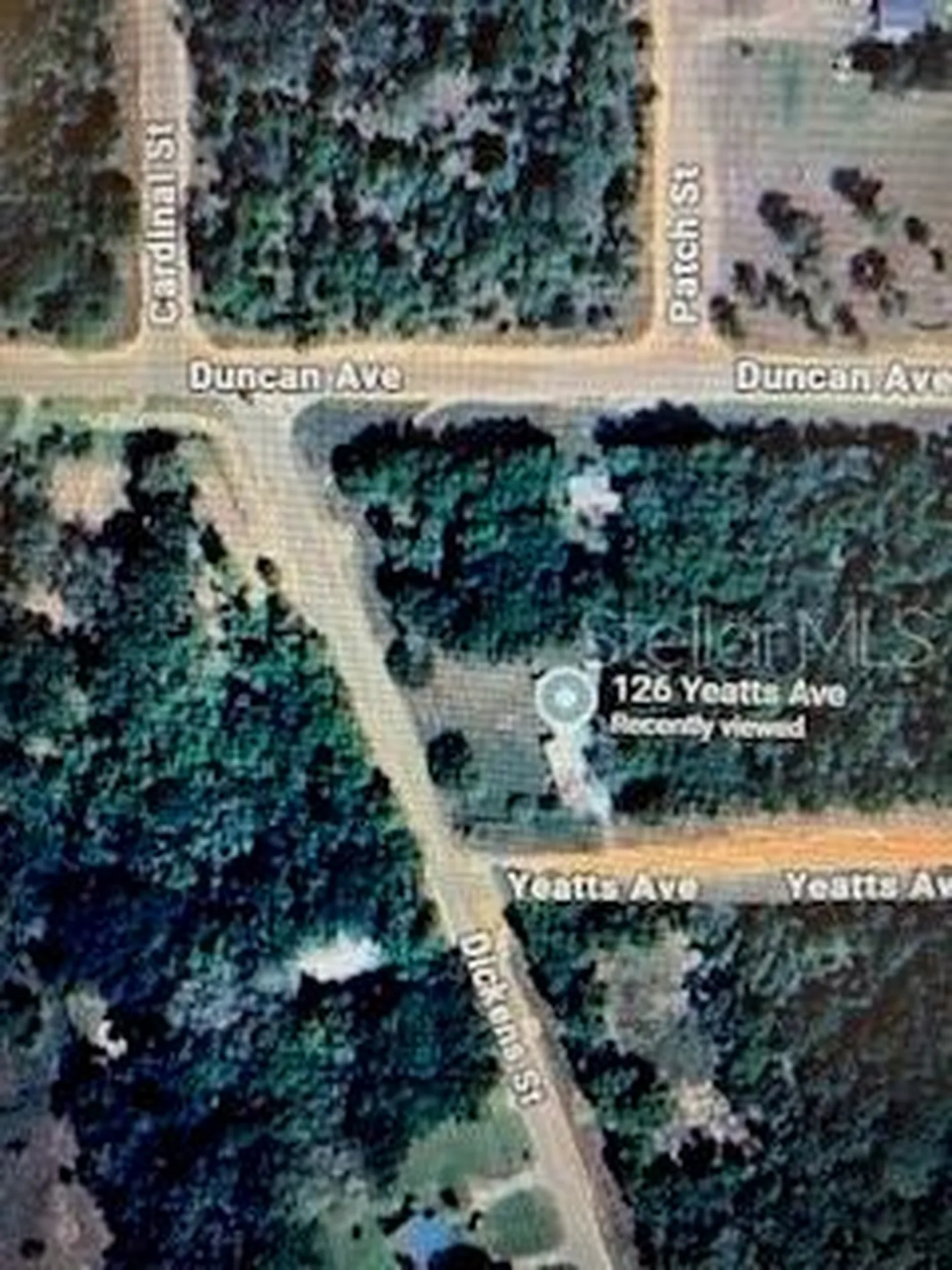 126 Yeatts Avenue Interlachen FL 32148