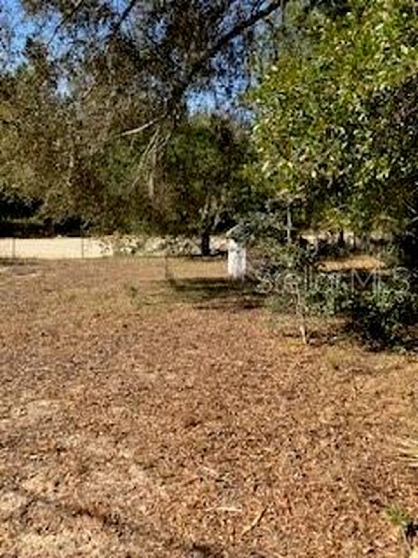 126 Yeatts Avenue Interlachen FL 32148