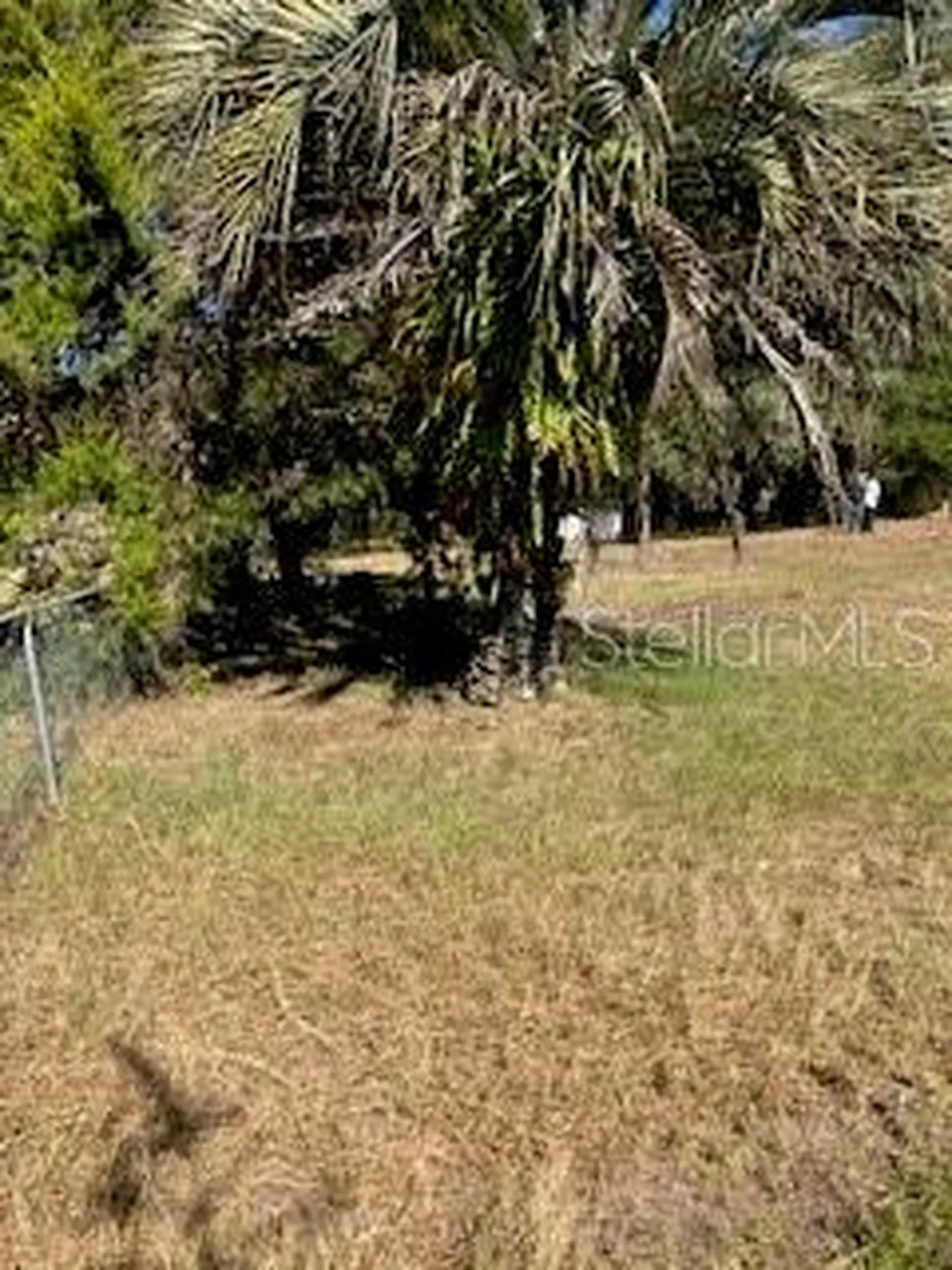 126 Yeatts Avenue Interlachen FL 32148