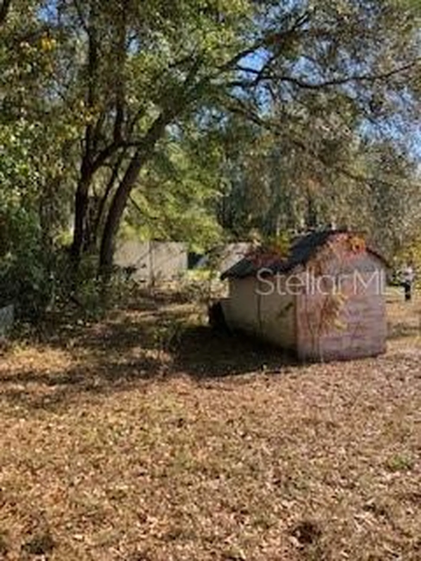 126 Yeatts Avenue Interlachen FL 32148