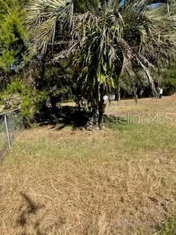 126 Yeatts Avenue Interlachen FL 32148
