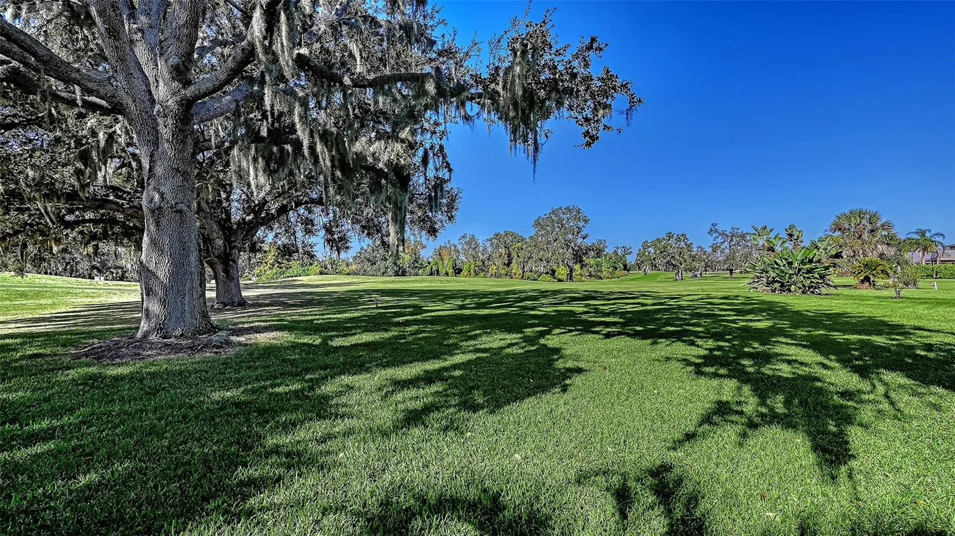 2909 Old Orchard Lane Parrish FL 34219