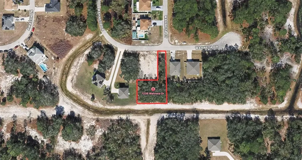 1236 Wahneta Drive Kissimmee FL 34759