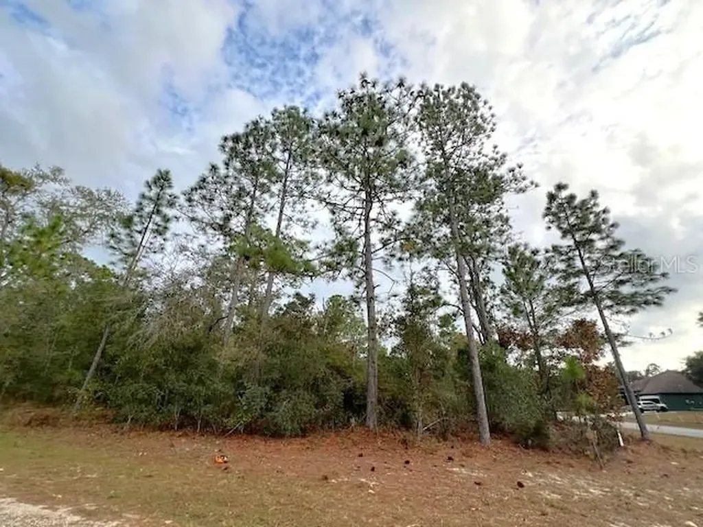3154 W Bedford Lane Dunnellon FL 34433