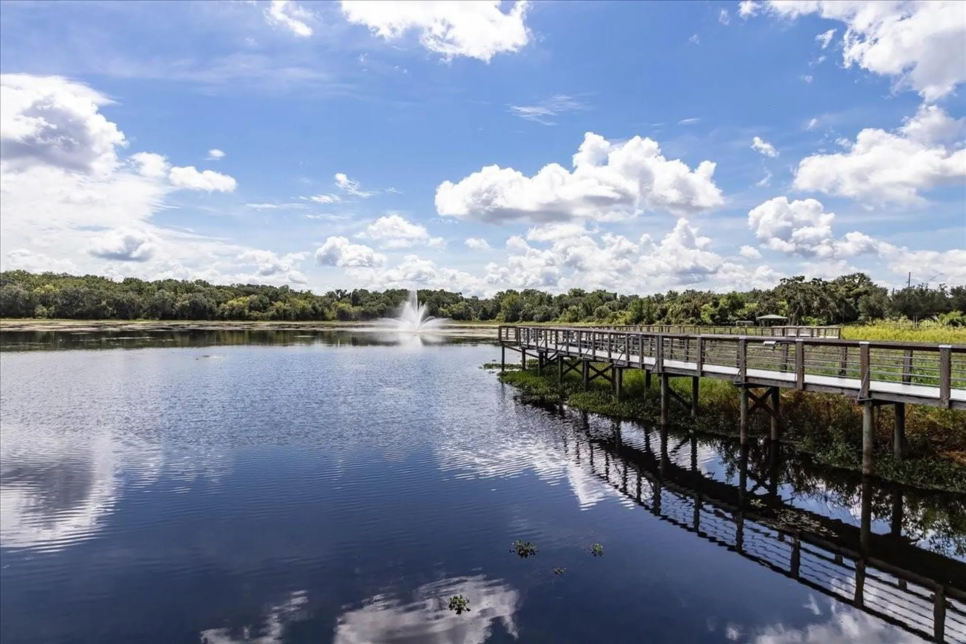 223 S Nesbitt Terrace Inverness FL 34450