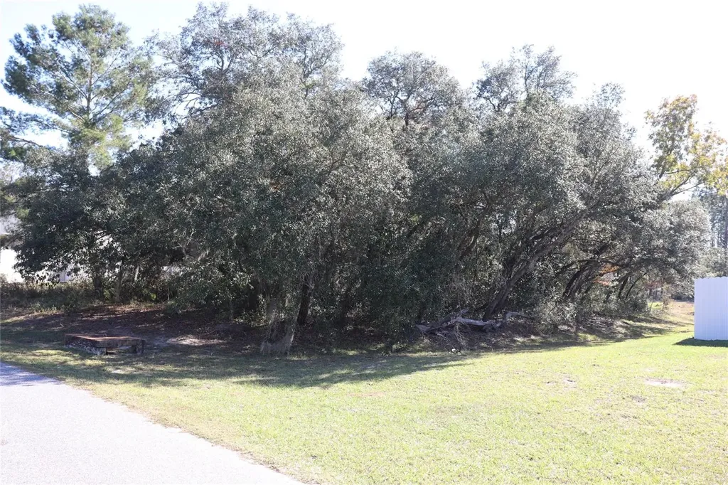 Tbd SW 157th Street Ocala FL 34473