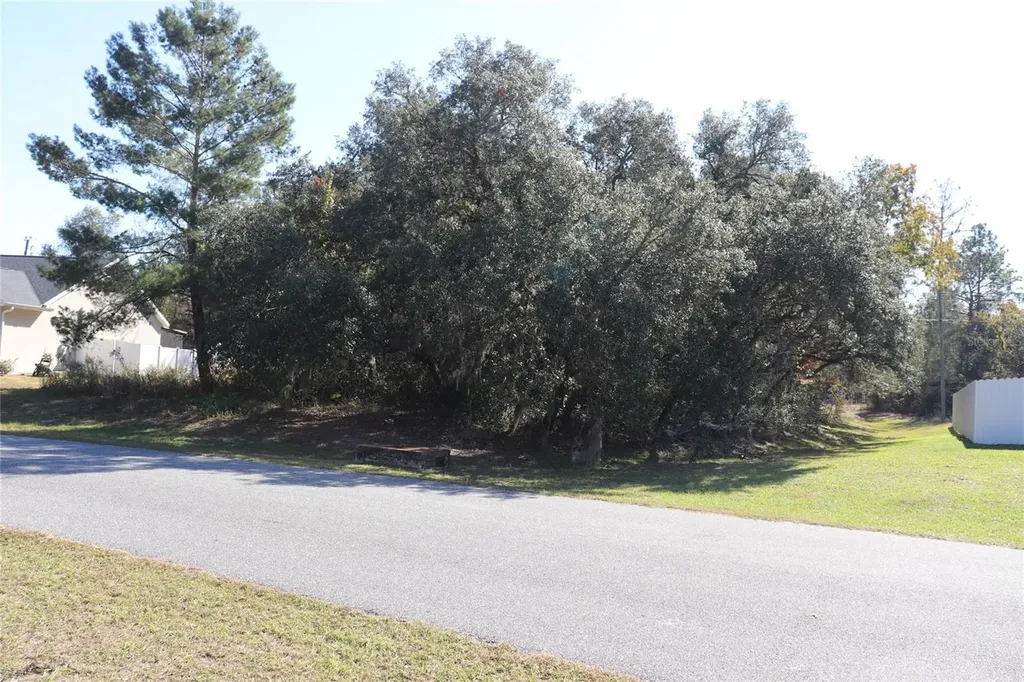 Tbd SW 157th Street Ocala FL 34473