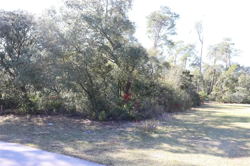 Tbd SW 157th Street Ocala FL 34473