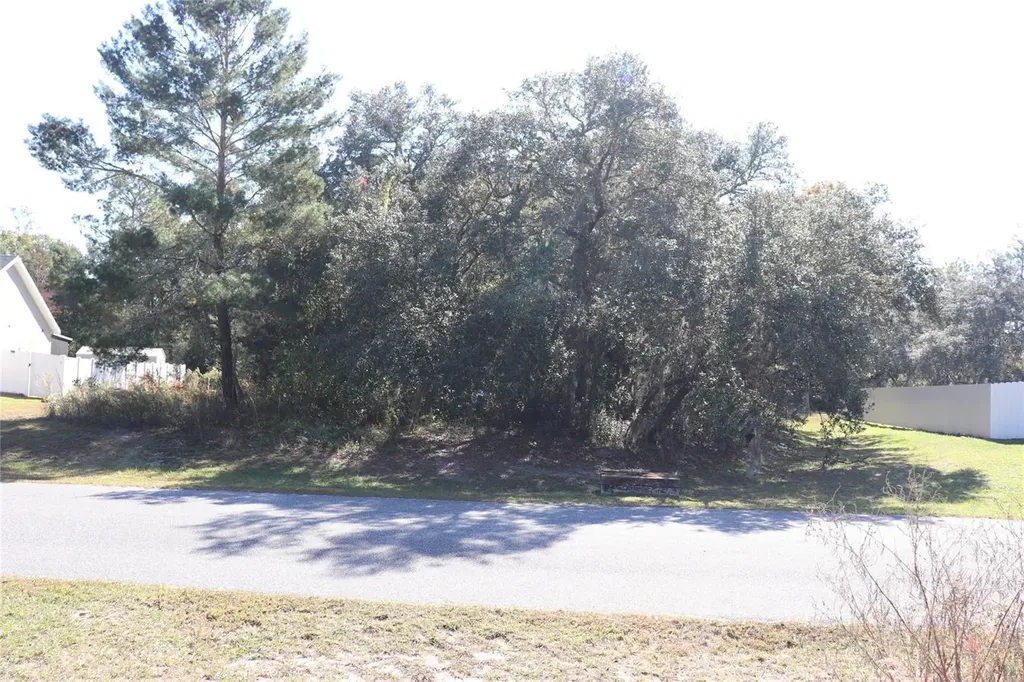 Tbd SW 157th Street Ocala FL 34473
