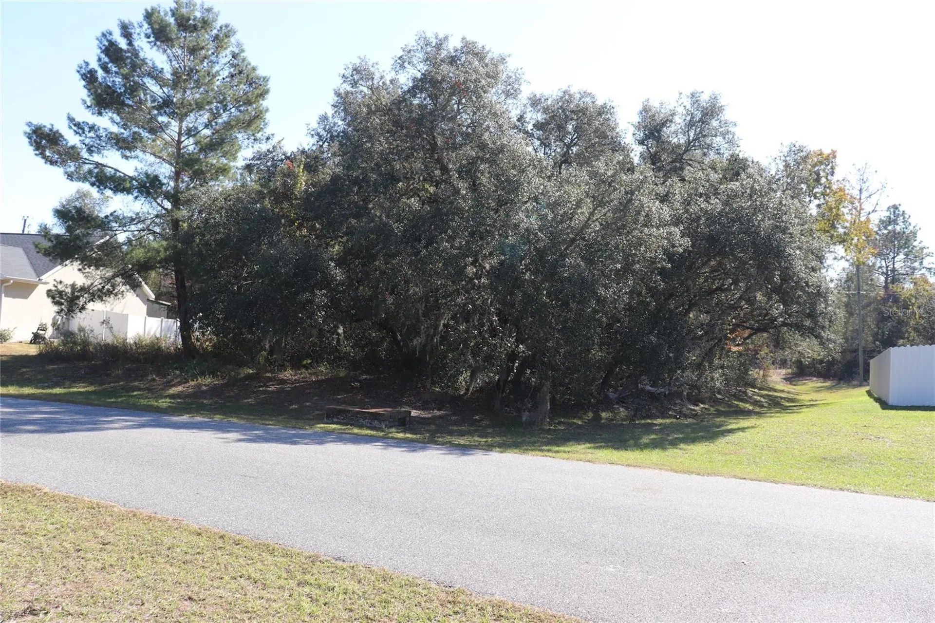 Tbd SW 157th Street Ocala FL 34473