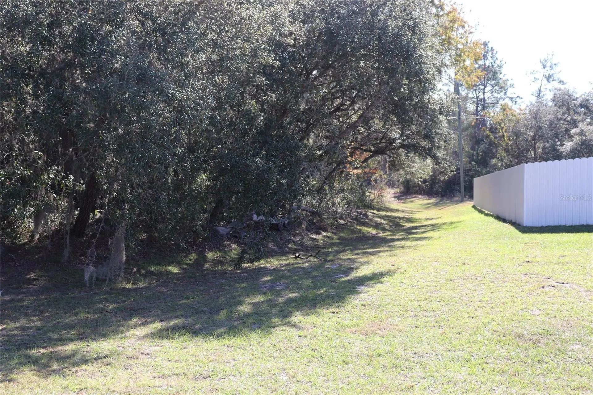Tbd SW 157th Street Ocala FL 34473