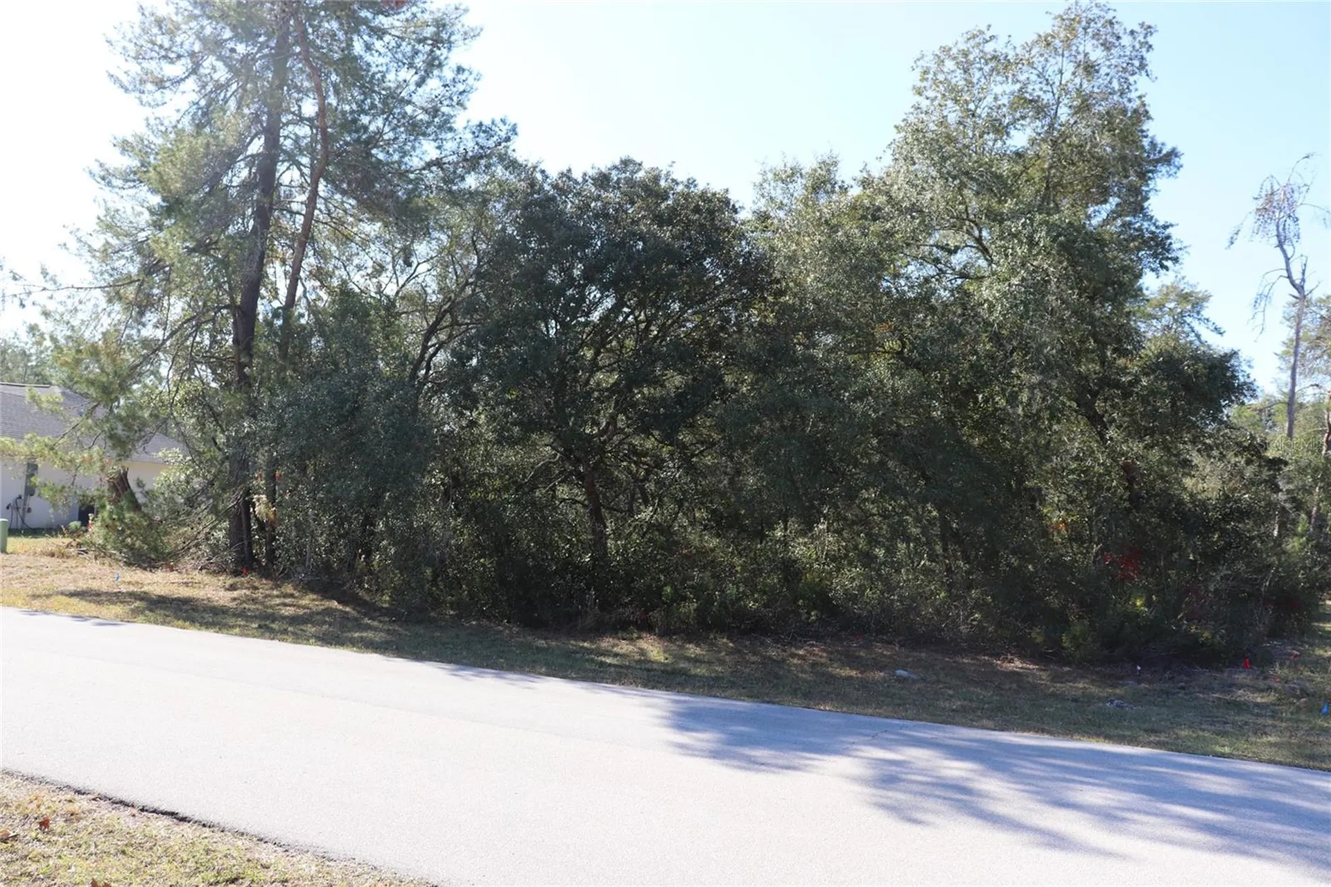 Tbd SW 157th Street Ocala FL 34473