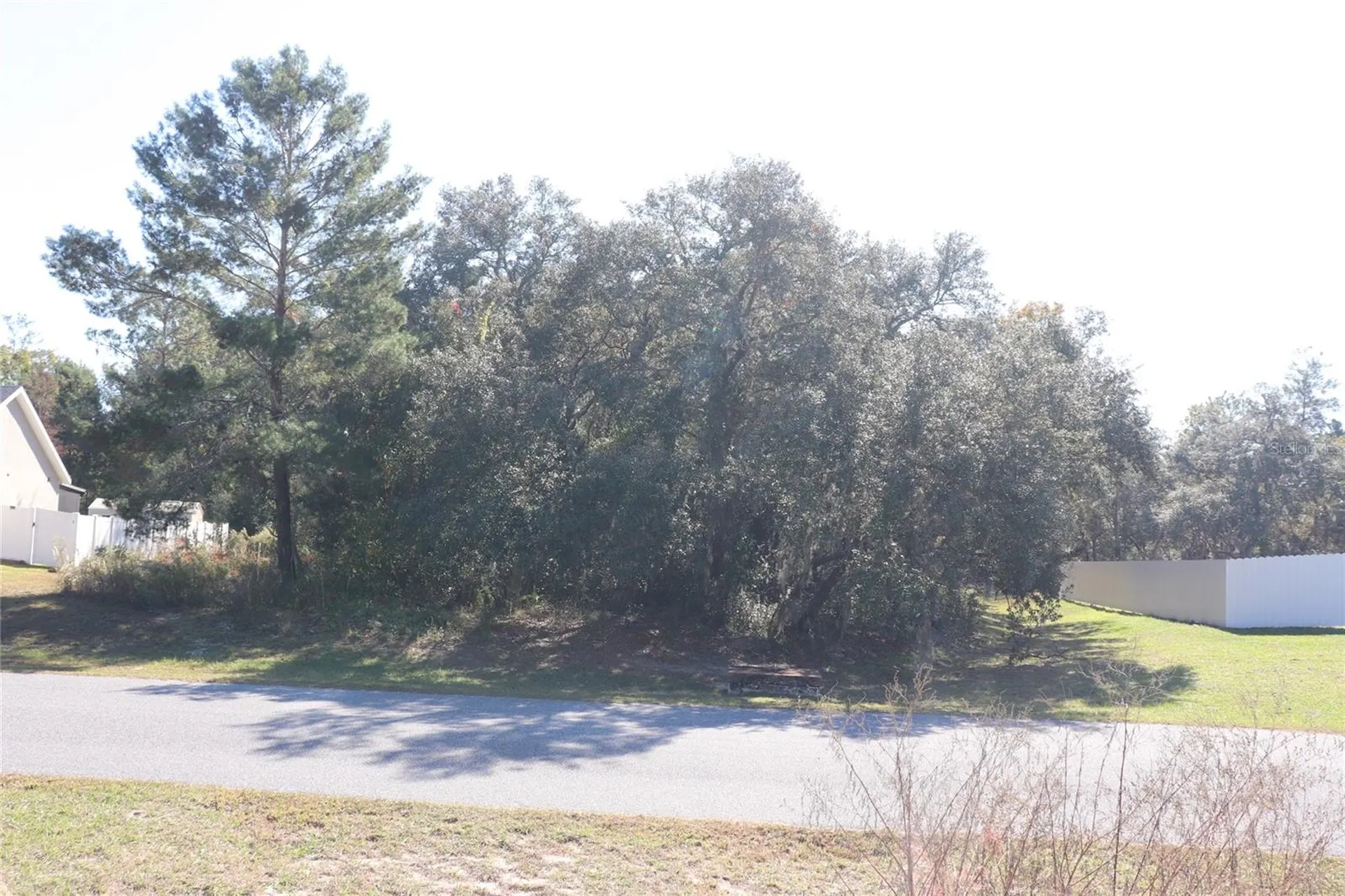 Tbd SW 157th Street Ocala FL 34473