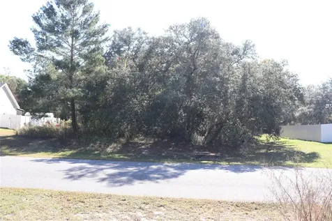 Tbd SW 157th Street Ocala FL 34473