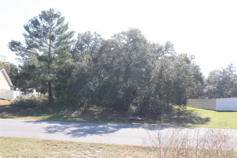 Tbd SW 157th Street Ocala FL 34473