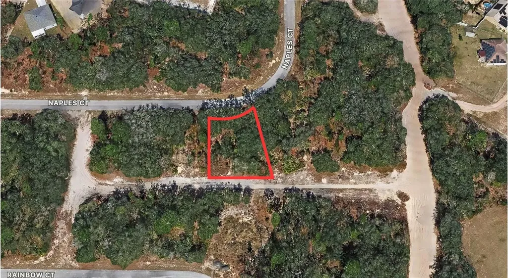 431 Naples Court Kissimmee FL 34759