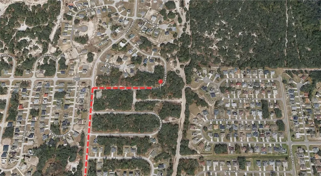 431 Naples Court Kissimmee FL 34759