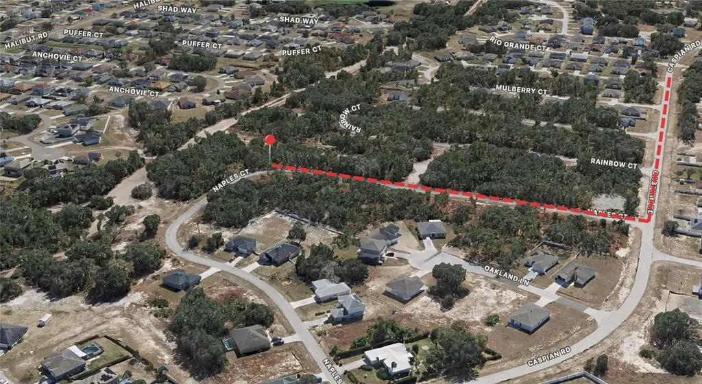 431 Naples Court Kissimmee FL 34759