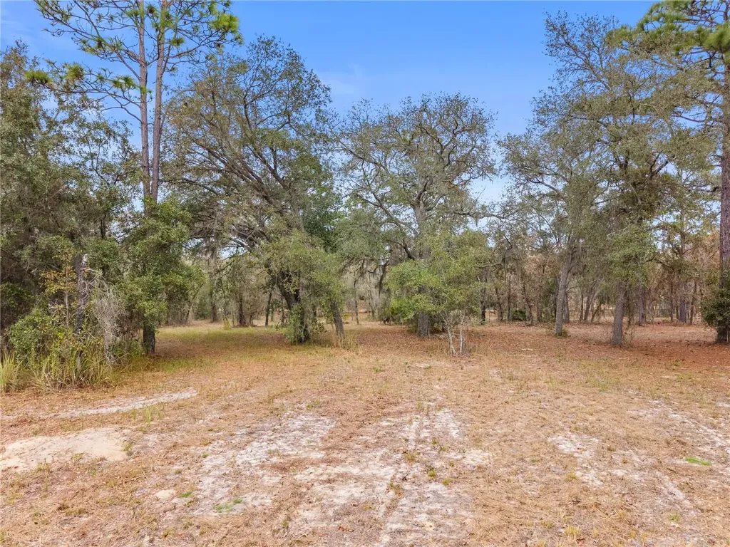 12251 SE 66th Place Morriston FL 32668