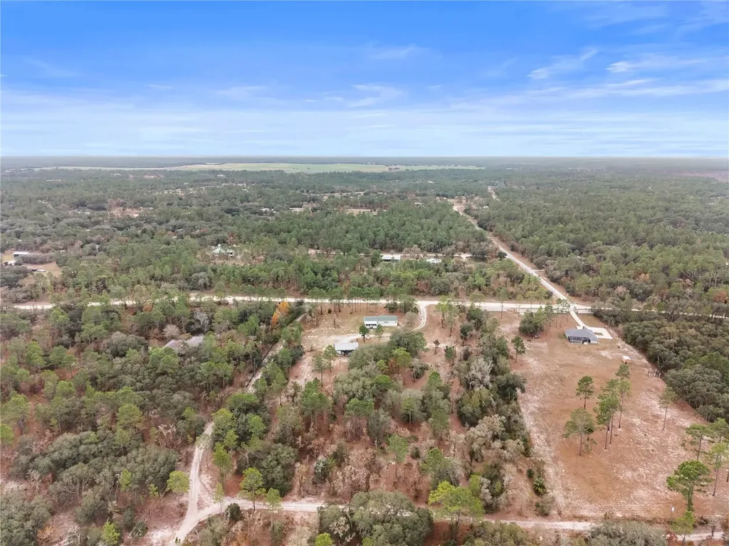 12251 SE 66th Place Morriston FL 32668