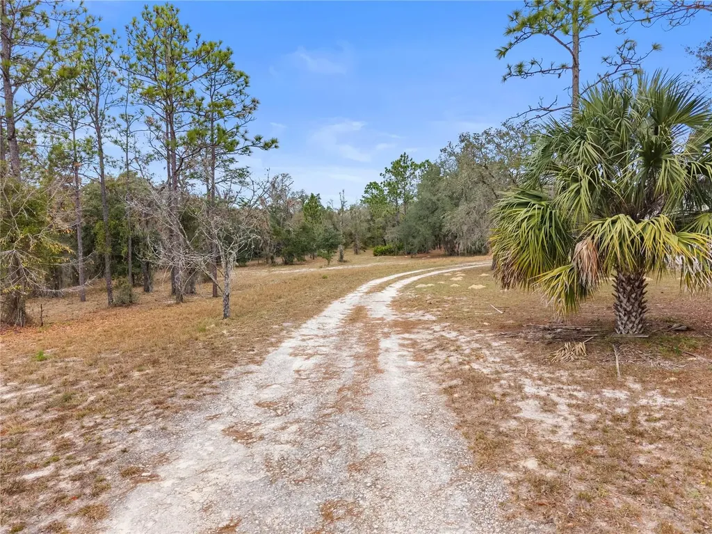 12251 SE 66th Place Morriston FL 32668