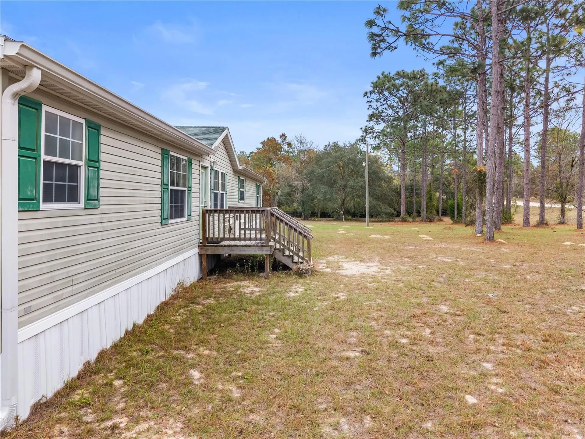 12251 SE 66th Place Morriston FL 32668