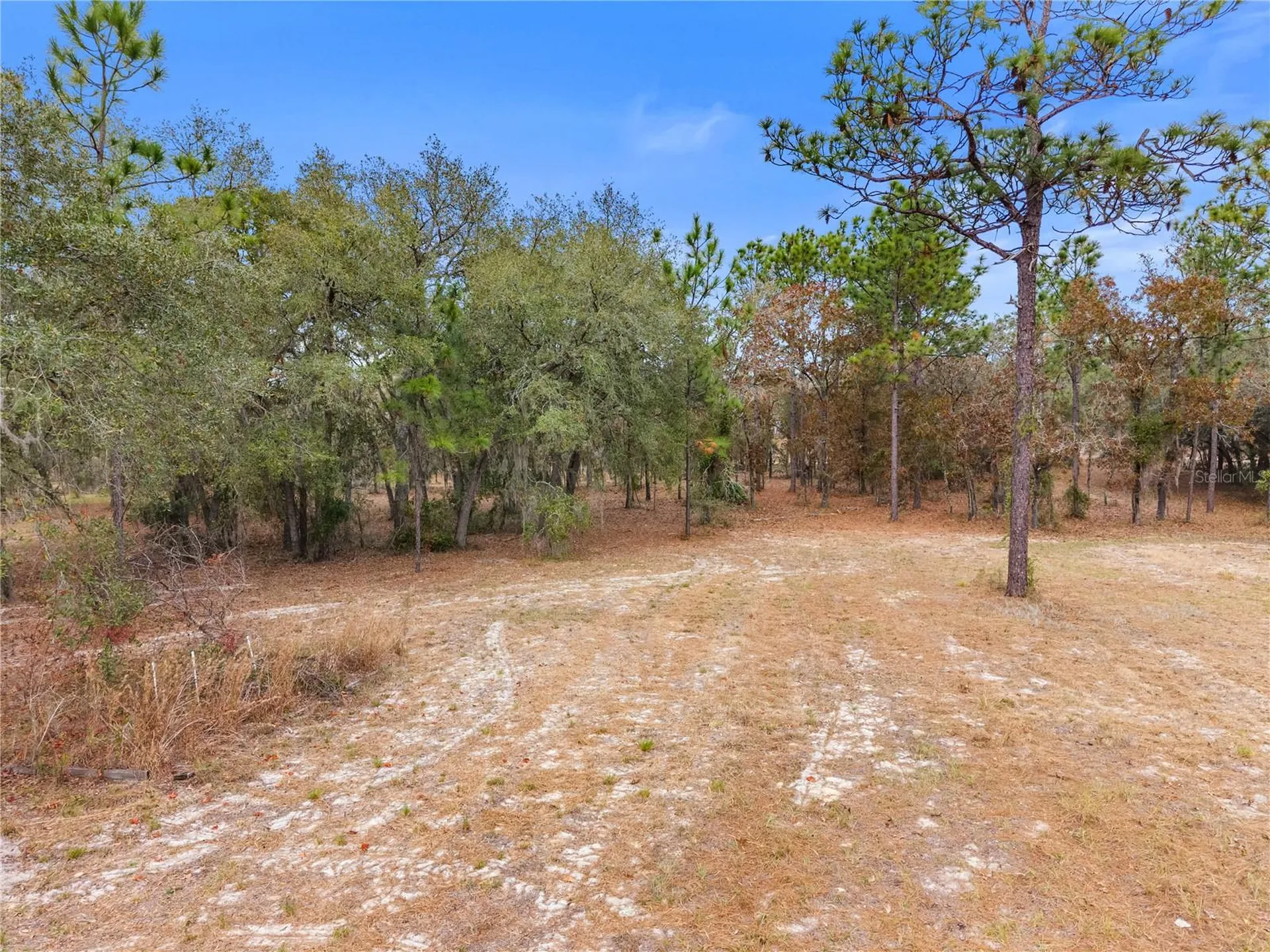 12251 SE 66th Place Morriston FL 32668