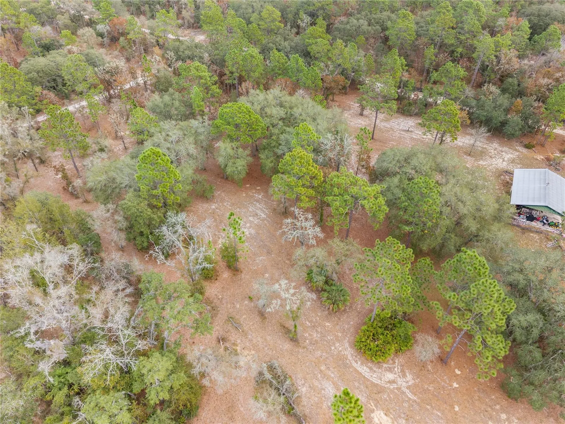 12251 SE 66th Place Morriston FL 32668